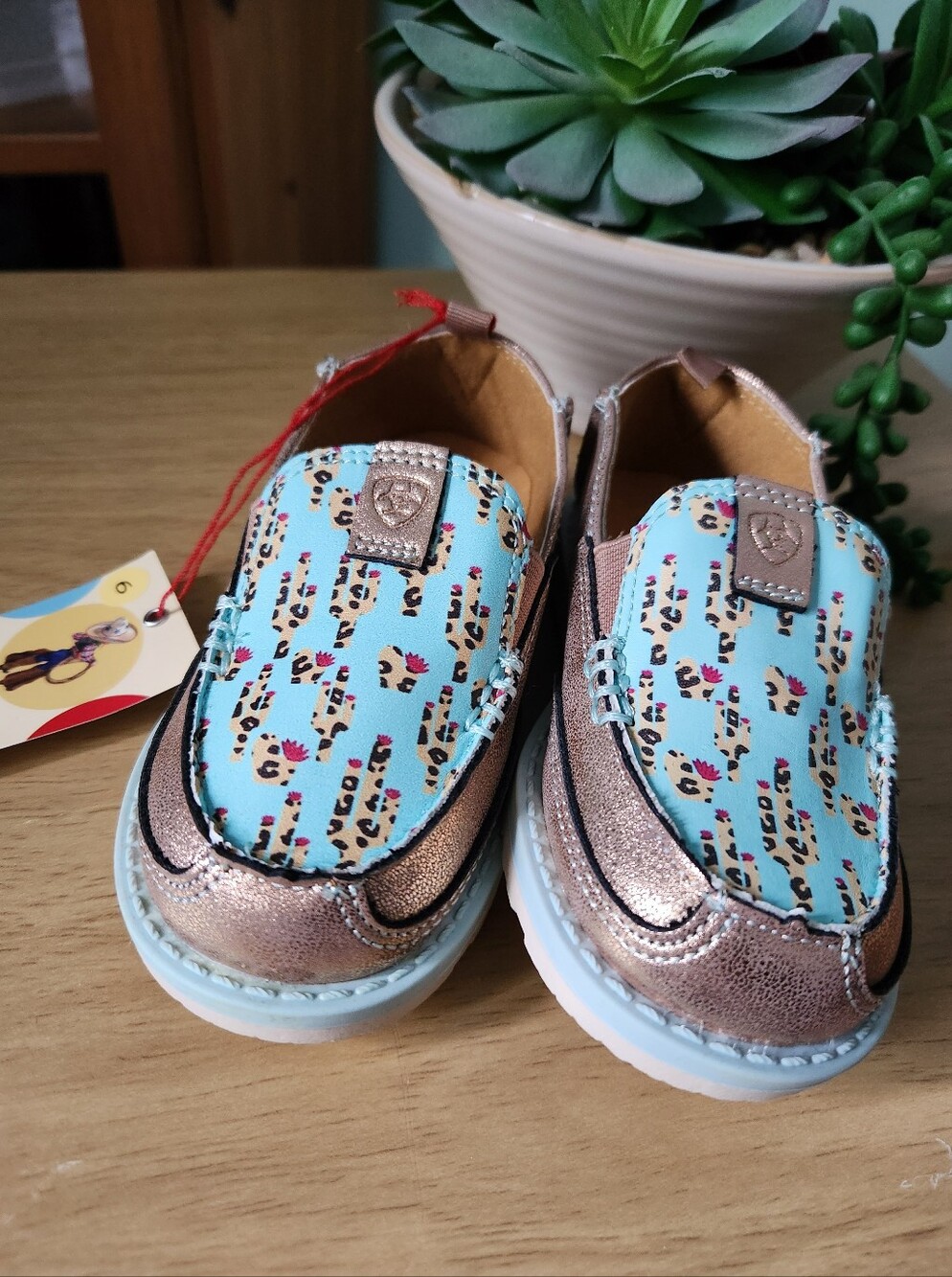 NWT ARIAT Baby Girls Canvas Slip On Shoes Size 6